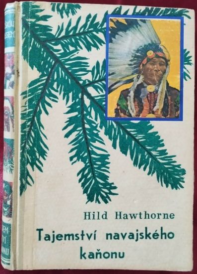 Román Tajemství navajského kaňonu, Hild Hawthorne